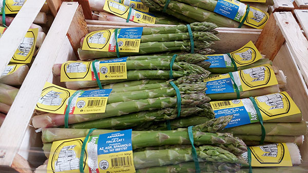 «Siccità, minore resa per l'asparago verde»