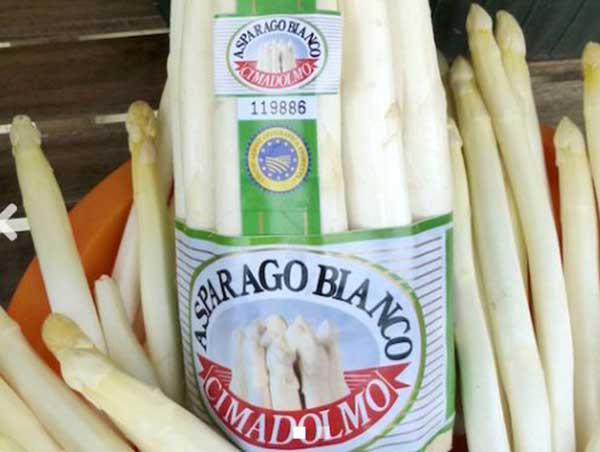 Una storia millenaria per l'asparago bianco di Cimadolmo Igp