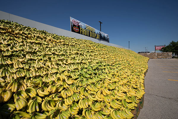 Banane, l'esposizione più grande al mondo è di Del Monte