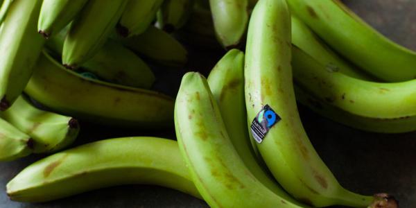 Le banane Fairtrade continuano la loro crescita