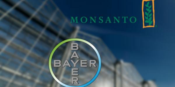 Bayer e Monsanto, il matrimonio si può fare