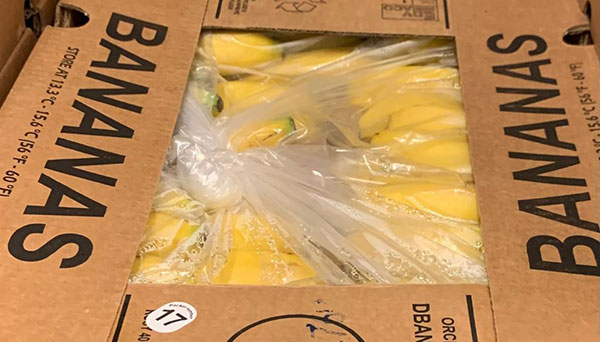 Banane, aumentano i prezzi in produzione