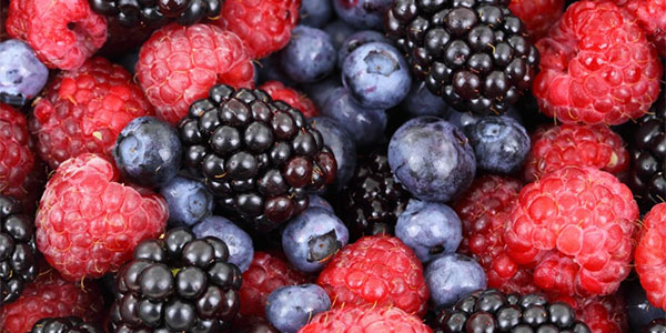 Scozia, i lavoratori locali salvano la raccolta dei berries