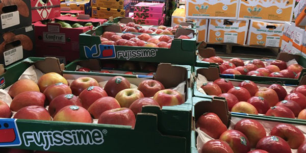 Francia: porti in sciopero, export di mele a picco 