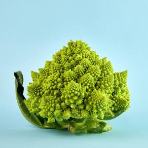 Broccolo romanesco, risolto il mistero della forma