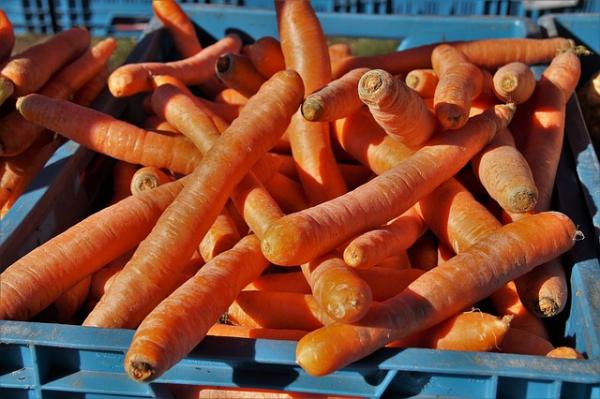 Un bossolo di carabina tra le carote del supermercato