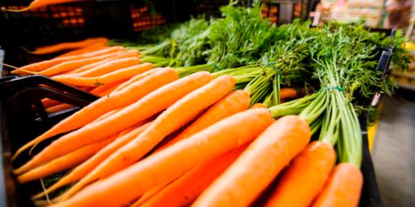 Costi alti e prezzi bassi, carote fresate a Maccarese