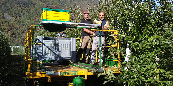 Fare del bene con le mele: esempio virtuoso in Valtellina