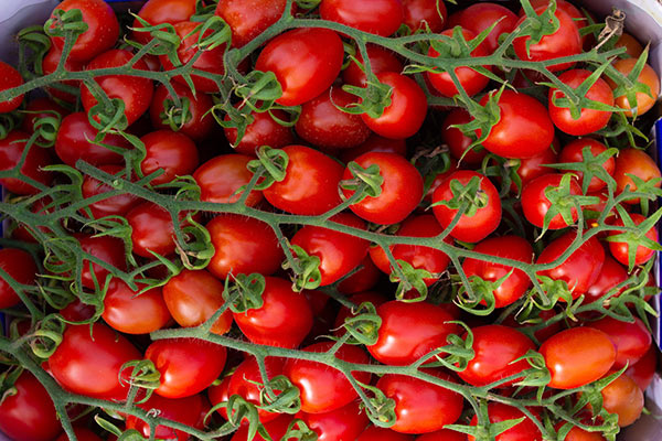 «Pomodori: prezzi troppo instabili, cambiano ogni giorno»