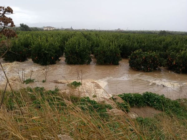 Acqua dal fiume per irrigare, rischia 40.000 euro di multa  