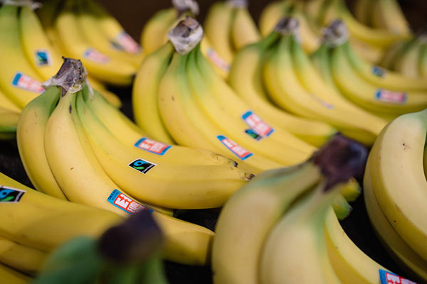 Fairtrade, aumenta il prezzo minimo delle banane