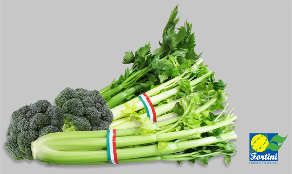 Fortini Ortofrutticoli, novità per sedano e broccolo