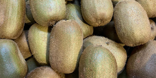 Ortofrutta Italia spinge sul consumo di kiwi
