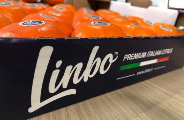 Linbo, una campagna con tante novità