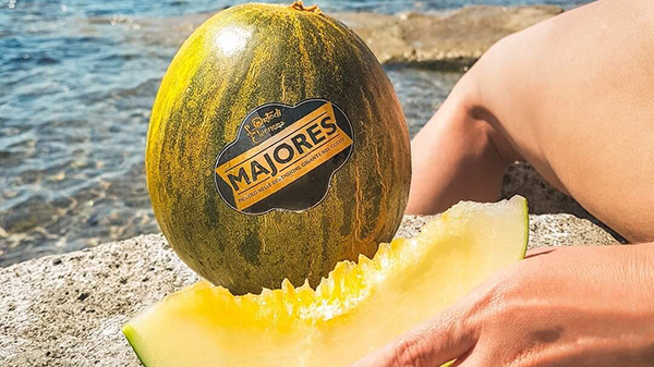 «Meloni, campagna salvata da Majores e Corallo»