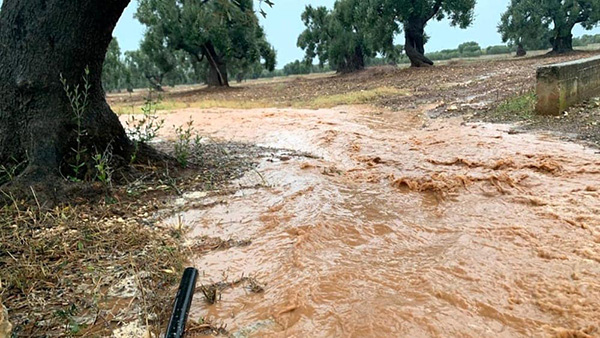 Bombe d'acqua a Bari, la terra continua a «consumarsi»