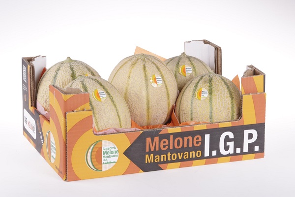 Melone Mantovano Igp, 1.200 tonnellate commercializzate