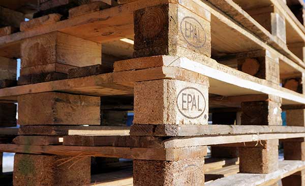Rilinchiaro, un nuovo strumento per la filiera del legno