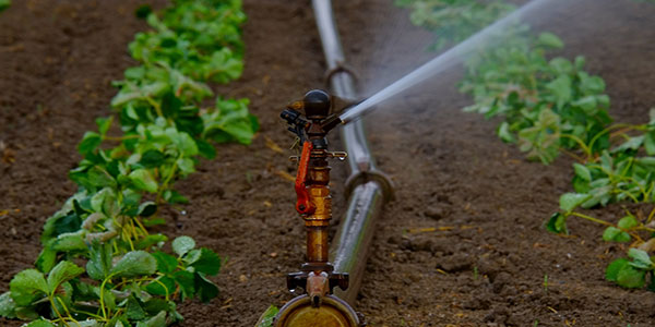 Irrigazione, timori per la Direttiva europea