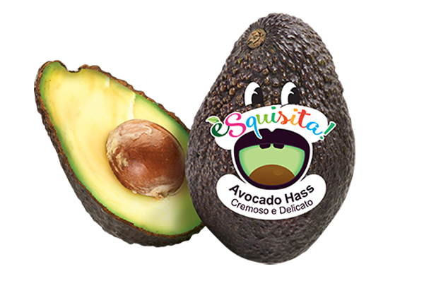Spreafico in prima linea per l'avocado Hass peruviano