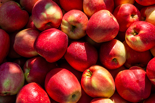 I big delle mele a Rimini per lanciare la campagna Sweetango