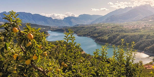 In Trentino approvata strategia per lo sviluppo sostenibile 