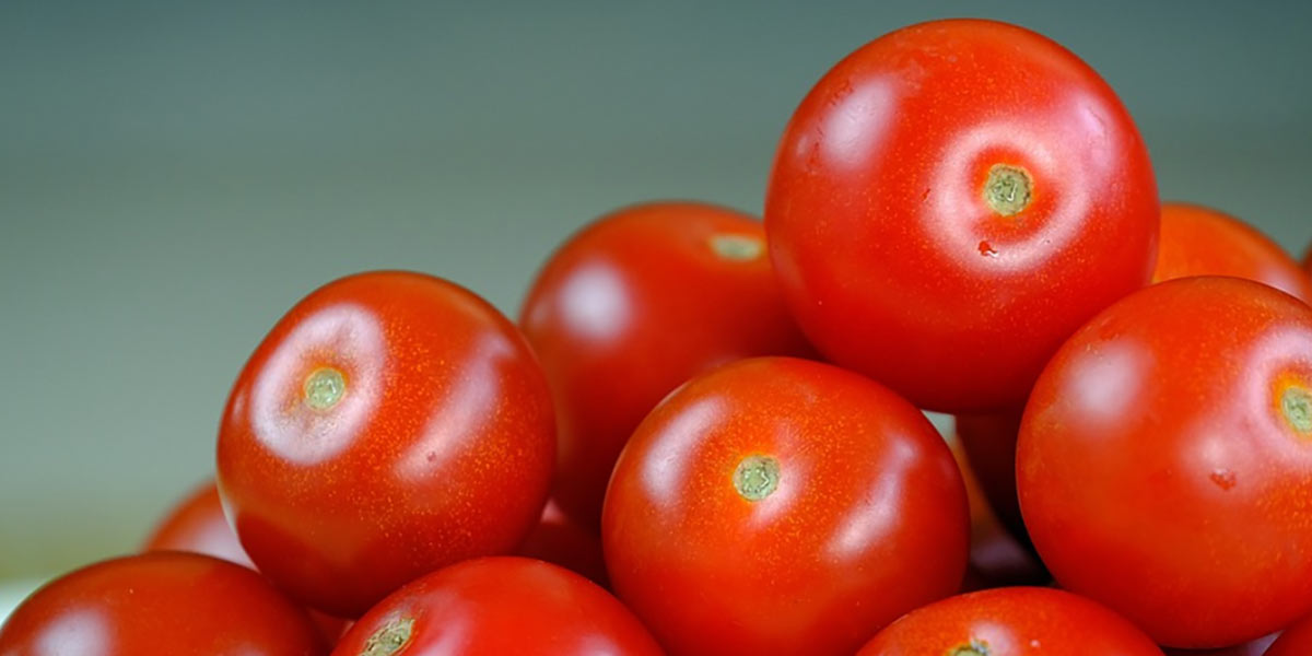 Pomodori turchi non passano la frontiera italiana